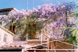 Il Glicine Bed and Breakfast