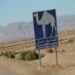 benedettocuccia-camper-tunisia-02