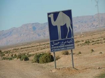 benedettocuccia-camper-tunisia-02