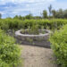 Radicepura Garden Festival: inaugurata a Giarre (CT) la IV edizione del festival del paesaggio mediterraneo