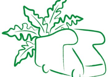 Porte Aperte Bonometti - Broccolando: Festa del broccolofiolaro!