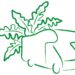 Porte Aperte Bonometti - Broccolando: Festa del broccolofiolaro!