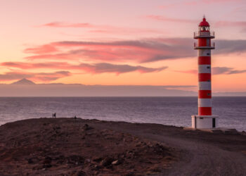 canarie