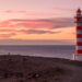 canarie