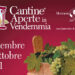 E’ partita Cantine Aperte in Vendemmia