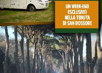 Tenuta di San Rossore: in camper nel parco
