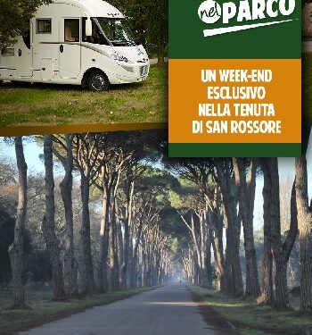 Tenuta di San Rossore: in camper nel parco