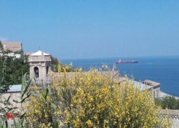 Estate al Parco del Cardeto di Ancona: un ricco programma di eventi