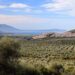 Nuova convenzione tessera turit con l’Agriturismo L’Oasi (Foggia)
