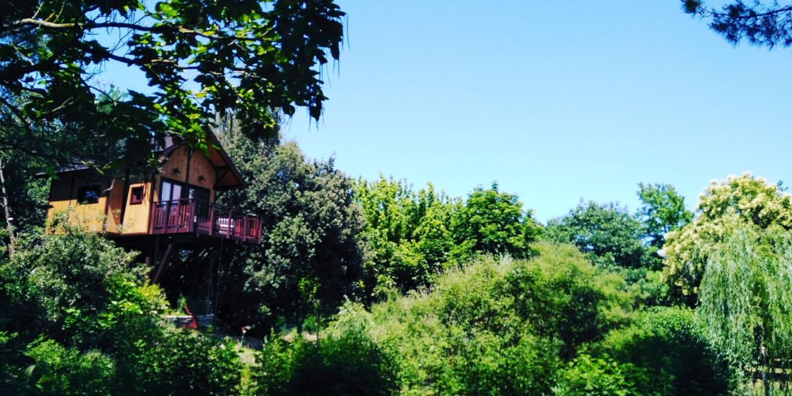 Nuova Convenzione Tessera Turit con la Casa sull’Albero (PG)