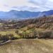Nuova Convenzione Tessera Turit con l’Azienda Vitivinicola Castelsimoni (AQ)