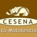 IX raduno camper Cesena Citta’ Malatestiana