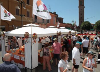 cipolla e scalogno