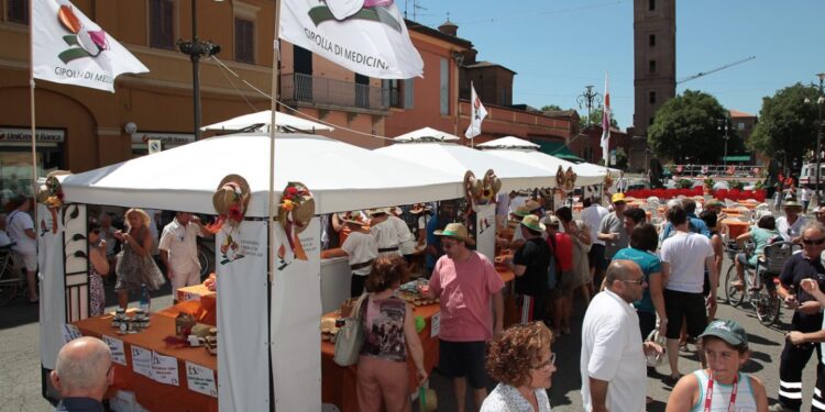 cipolla e scalogno