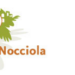 Borsa Nazionale del Turismo della Nocciola