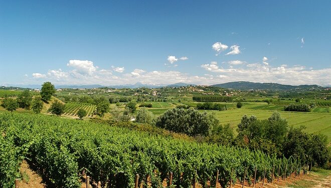 27 novembre: al via la prima edizione del ‘Collio day’