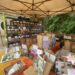 Dal 27 al 29 settembre al Museo Orto Botanico di Roma “La Conserva della neve”