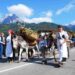 Gran festa del Desmontegar 2012