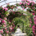 A Nervi (GE) dal 23 aprile all’8 maggio arriva Euroflora