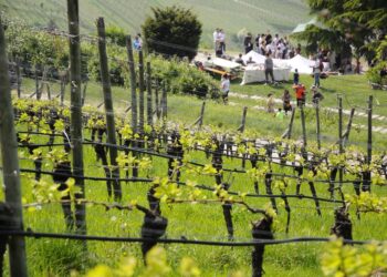 eventi