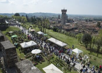 eventi