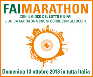 FAI Marathon 2013