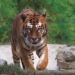 Nuova Convenzione Tessera Turit con il Parco Zoo Falconara (AN)