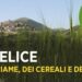 Fiera di San Felice a Monteleone di Spoleto