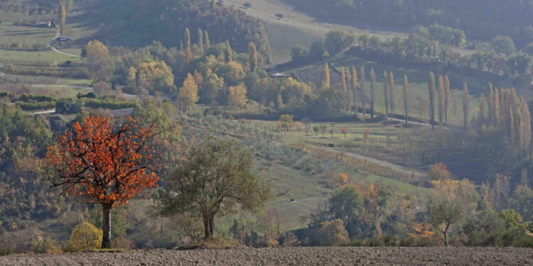 Il foliage nelle Marche: un tuffo tra i colori d’autunno