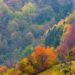 Foliage tra le Dolomiti bellunesi