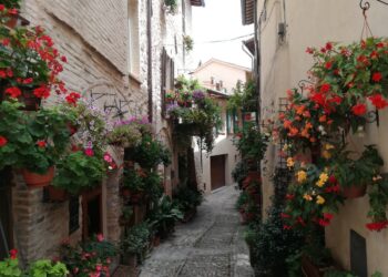 umbria