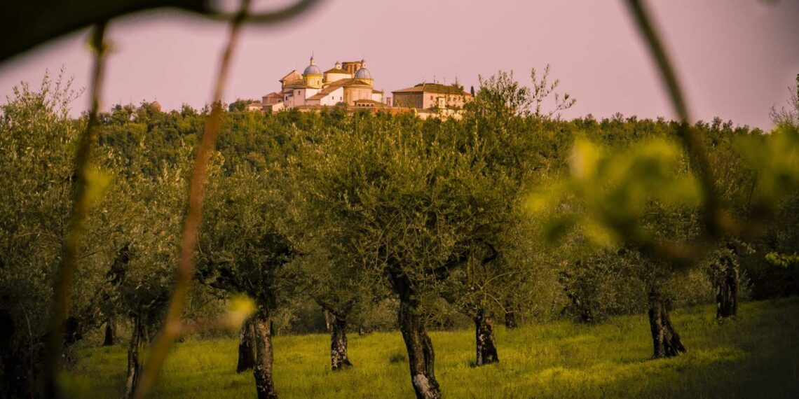 Nuova Convenzione Tessera Turit con il Frantoio Suatoni (TR)