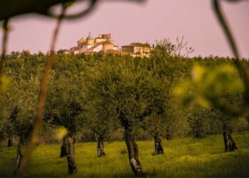 Nuova Convenzione Tessera Turit con il Frantoio Suatoni (TR)