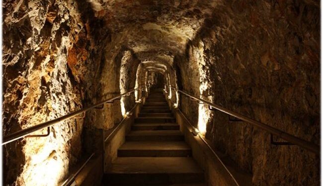 Grotta Gigante in Friuli Venezia Giulia