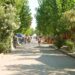 Nuova Convenzione Tessera Turit Camping La Pineta (Campobasso)