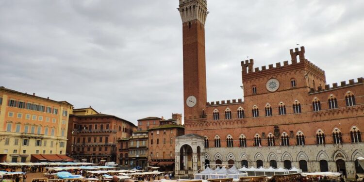 il mercato nel campo