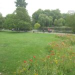 St.James Park