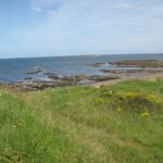 Amble-2