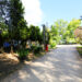 ingresso camping village