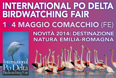 International Po Delta Birdwatching Fair Comacchio