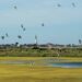 Isole di sogno nella Charentes-Maritime