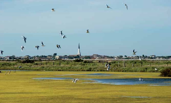 Isole di sogno nella Charentes-Maritime