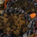 Itinerari del gusto Pesaro Urbino