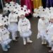 kid-s-weeks-carnevale-2012-val-gardena