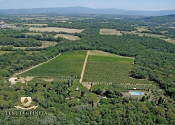 Nuova Convenzione Tessera Turit con la Tenuta la Pineta (AR)