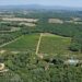 Nuova Convenzione Tessera Turit con la Tenuta la Pineta (AR)