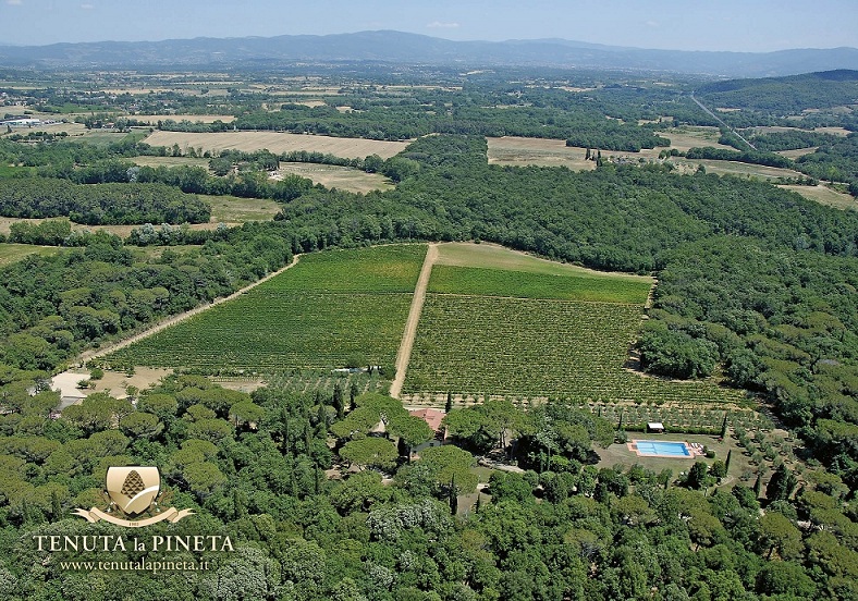 Nuova Convenzione Tessera Turit con la Tenuta la Pineta (AR)