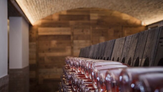 Le Vigne di Roberto: un nuovo modo di vivere il vino