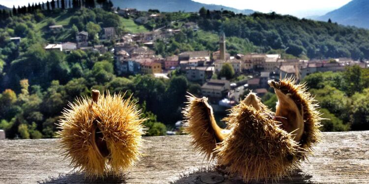 A Combai (TV) tutto pronto per la 78esima Festa dei Marroni