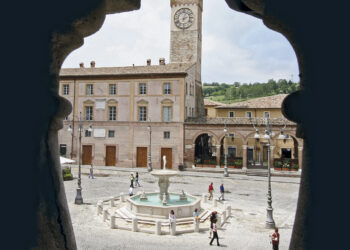 verdicchio
